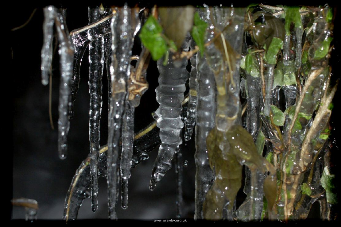 Icicles by Night_JF