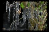Icicles by Night_JF
